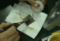 1599184853184759.jpg 圖片關鍵詞